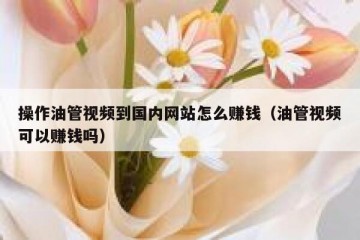 操作油管视频到国内网站怎么赚钱（油管视频可以赚钱吗）