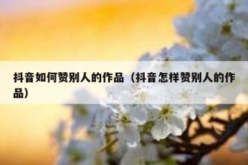 抖音如何赞别人的作品（抖音怎样赞别人的作品）
