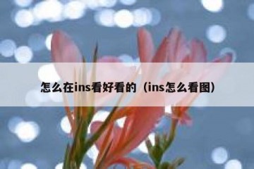 怎么在ins看好看的（ins怎么看图）