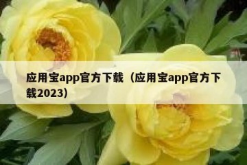应用宝app官方下载（应用宝app官方下载2023）