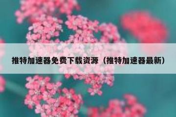 推特加速器免费下载资源（推特加速器最新）