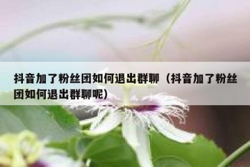 抖音加了粉丝团如何退出群聊（抖音加了粉丝团如何退出群聊呢）