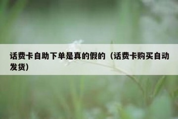 话费卡自助下单是真的假的（话费卡购买自动发货）