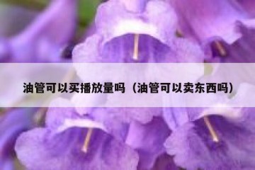 油管可以买播放量吗（油管可以卖东西吗）