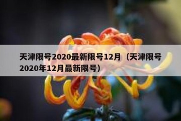 天津限号2020最新限号12月（天津限号2020年12月最新限号）