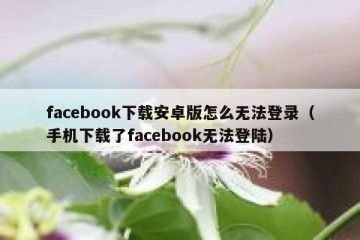 facebook下载安卓版怎么无法登录（手机下载了facebook无法登陆）