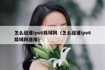 怎么组建ipv6局域网（怎么组建ipv6局域网连接）