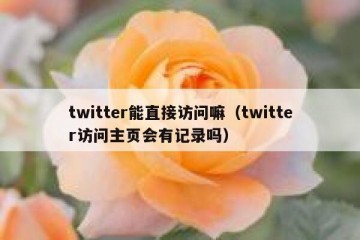 twitter能直接访问嘛（twitter访问主页会有记录吗）