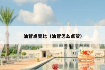 油管点赞比（油管怎么点赞）