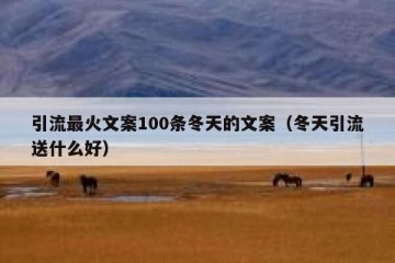 引流最火文案100条冬天的文案（冬天引流送什么好）
