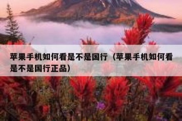 苹果手机如何看是不是国行（苹果手机如何看是不是国行正品）