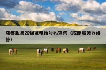 成都服务器租赁电话号码查询（成都服务器维修）
