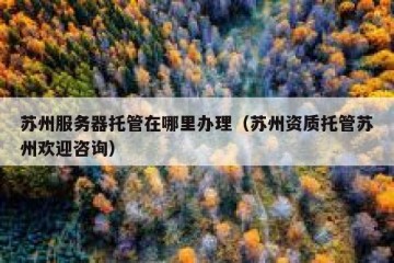 苏州服务器托管在哪里办理（苏州资质托管苏州欢迎咨询）
