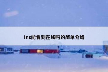 ins能看到在线吗的简单介绍