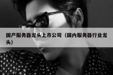 国产服务器龙头上市公司（国内服务器行业龙头）