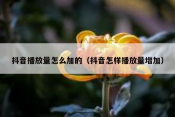 抖音播放量怎么加的（抖音怎样播放量增加）