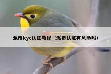 派币kyc认证教程（派币认证有风险吗）