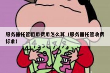 服务器托管租用费用怎么算（服务器托管收费标准）