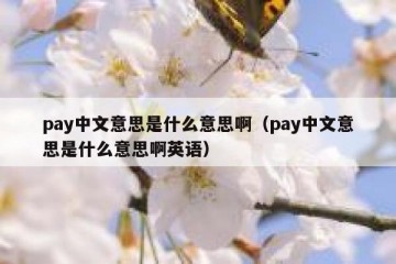 pay中文意思是什么意思啊（pay中文意思是什么意思啊英语）