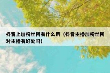 抖音上加粉丝团有什么用（抖音主播加粉丝团对主播有好处吗）