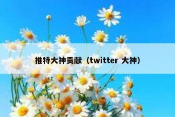 推特大神贡献（twitter 大神）