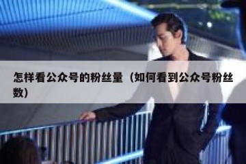 怎样看公众号的粉丝量（如何看到公众号粉丝数）