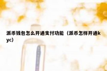 派币钱包怎么开通支付功能（派币怎样开通kyc）