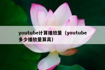 youtube计算播放量（youtube多少播放量算高）