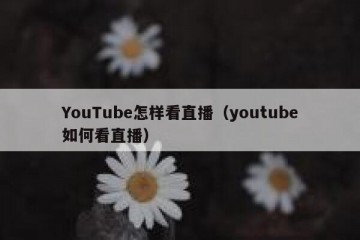 YouTube怎样看直播（youtube如何看直播）