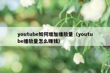 youtube如何增加播放量（youtube播放量怎么赚钱）