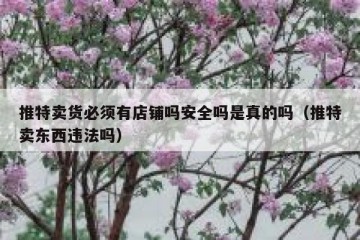 推特卖货必须有店铺吗安全吗是真的吗（推特卖东西违法吗）