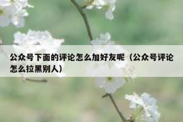 公众号下面的评论怎么加好友呢（公众号评论怎么拉黑别人）