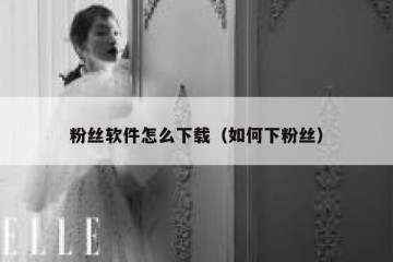 粉丝软件怎么下载（如何下粉丝）