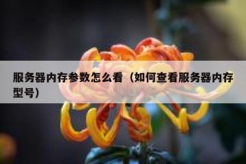 服务器内存参数怎么看（如何查看服务器内存型号）