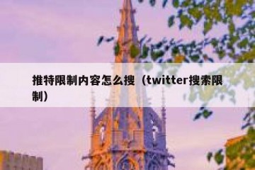 推特限制内容怎么搜（twitter搜索限制）