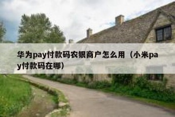 华为pay付款码农银商户怎么用（小米pay付款码在哪）