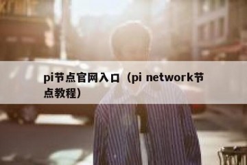 pi节点官网入口（pi network节点教程）