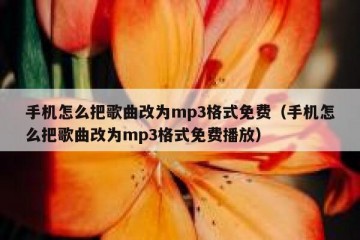 手机怎么把歌曲改为mp3格式免费（手机怎么把歌曲改为mp3格式免费播放）