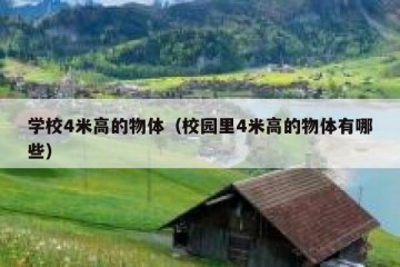 学校4米高的物体（校园里4米高的物体有哪些）