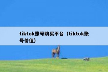 tiktok账号购买平台（tiktok账号价值）