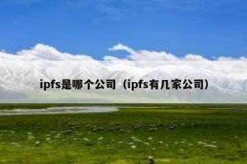 ipfs是哪个公司（ipfs有几家公司）