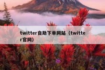twitter自助下单网站（twitter官网）