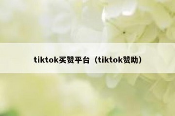 tiktok买赞平台（tiktok赞助）