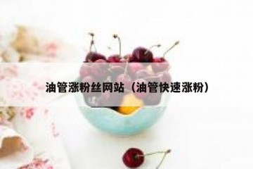 油管涨粉丝网站（油管快速涨粉）