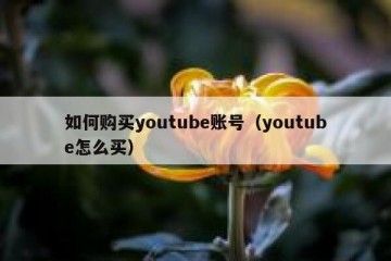 如何购买youtube账号（youtube怎么买）
