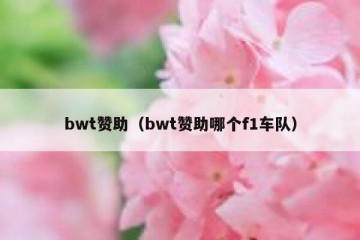 bwt赞助（bwt赞助哪个f1车队）