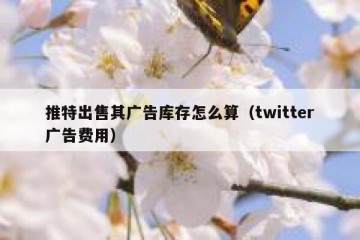 推特出售其广告库存怎么算（twitter广告费用）
