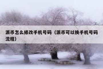派币怎么修改手机号码（派币可以换手机号码流程）