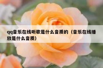qq音乐在线听歌是什么音质的（音乐在线播放是什么音质）