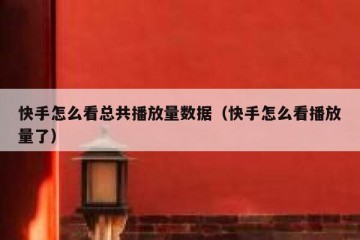 快手怎么看总共播放量数据（快手怎么看播放量了）
